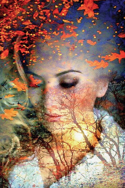 Autumn Pound by Dominique Baduel framed canvas print