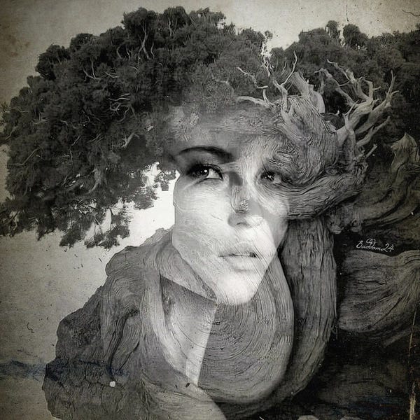 Black & White Florals: Hamadryad by Dominique Baduel