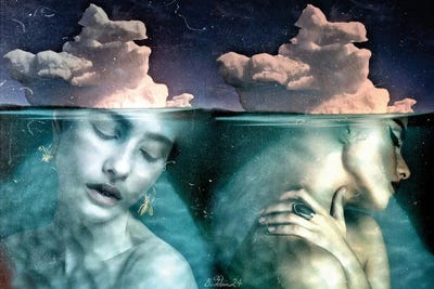 Ice Maiden by Dominique Baduel canvas print