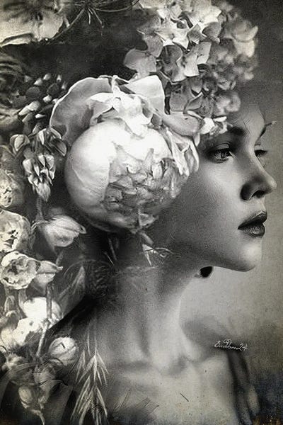 Black & White Florals: Botanica by Dominique Baduel