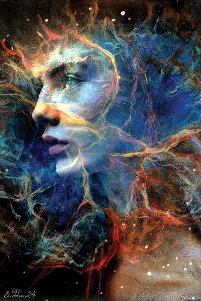 Meltdown by Dominique Baduel framed canvas print