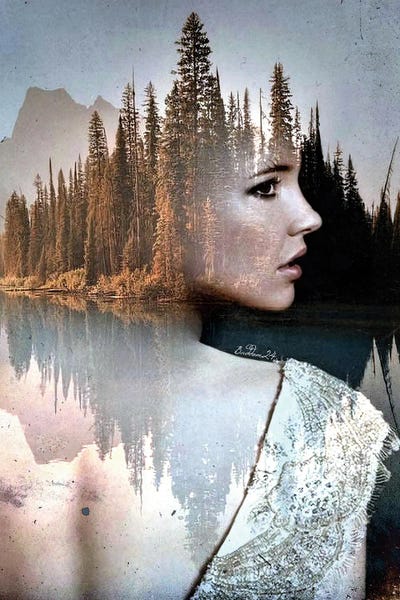 Dominique Baduel: Contemplation by Dominique Baduel