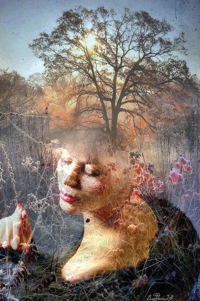Dominique Baduel: Frosty Morning by Dominique Baduel