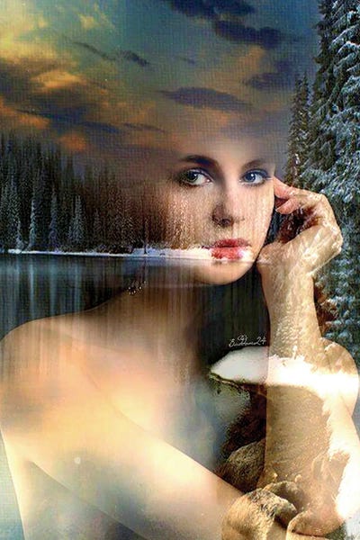 Belle D'Hiver by Dominique Baduel canvas print