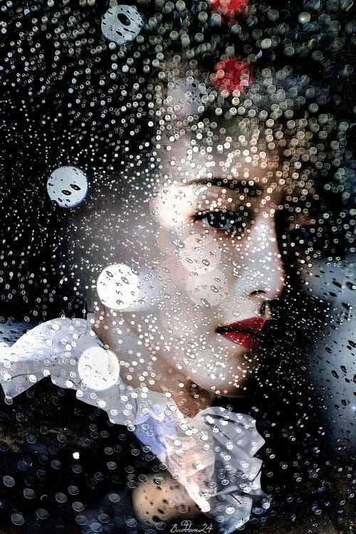 Raindrop Geisha