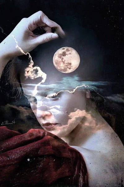 The Lunatic by Dominique Baduel canvas print