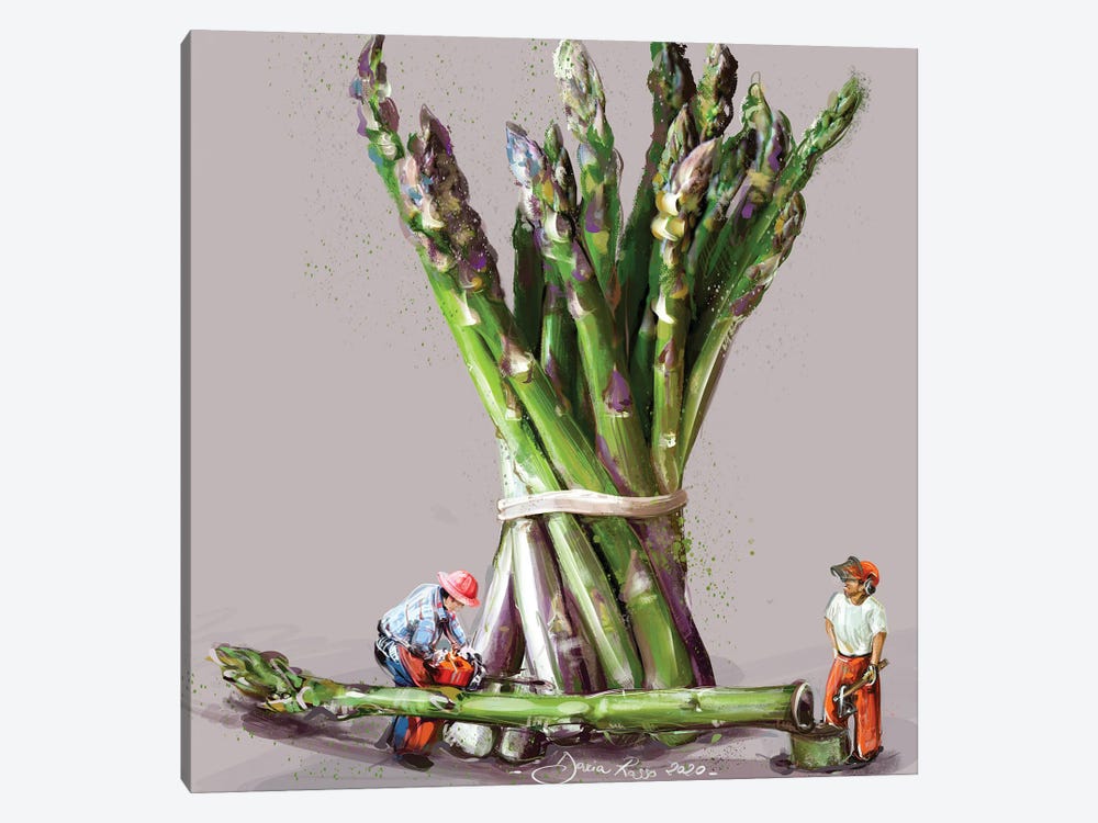 Asparagus Harvesting by Daria Rosso 1-piece Canvas Art