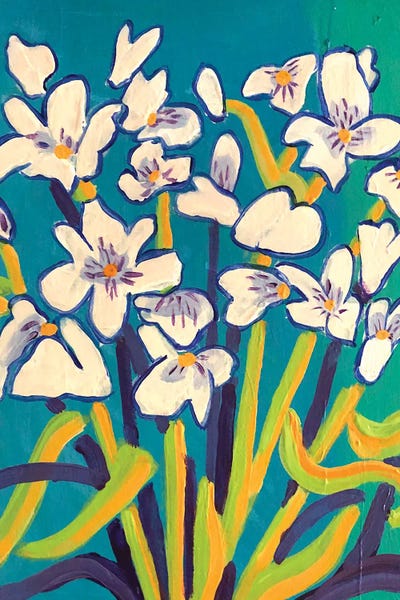 Dancing After The Rain by Debra Bretton Robinson canvas print