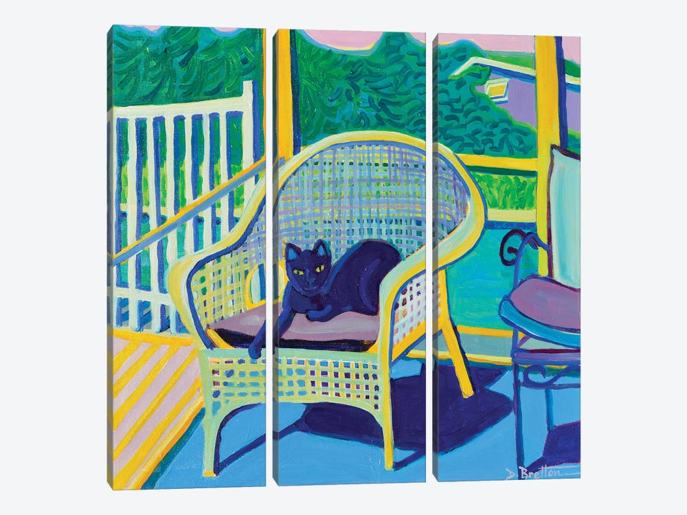 King Louis In The Back Porch by Debra Bretton Robinson 3-piece Canvas Art