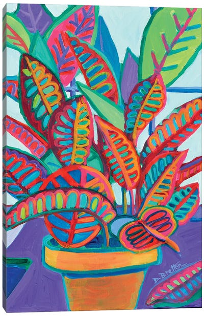 Jeff's Croton Petra Canvas Art Print - Plant Mom