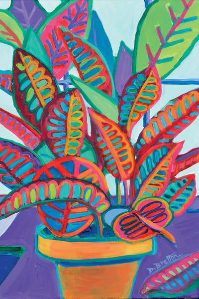 Complementary Colors: Jeff's Croton Petra by Debra Bretton Robinson