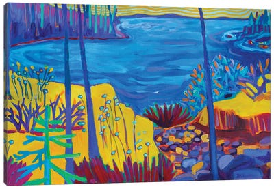 Acadia National Park Canvas Art Print - Debra Bretton Robinson