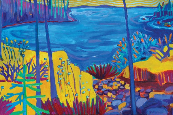 Acadia National Park: Acadia National Park by Debra Bretton Robinson