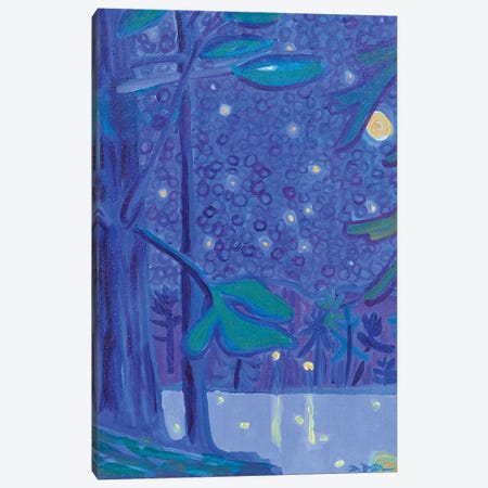 Massapoag Nocturne Canvas Print #DRB53} by Debra Bretton Robinson Canvas Wall Art