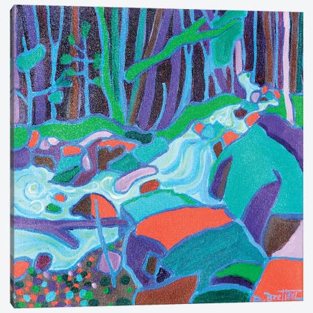 North Woods River Canvas Print #DRB55} by Debra Bretton Robinson Canvas Print