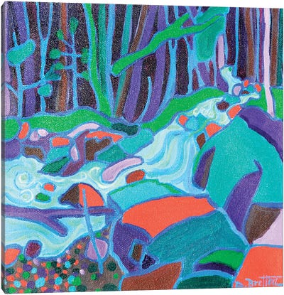North Woods River Canvas Art Print - Debra Bretton Robinson
