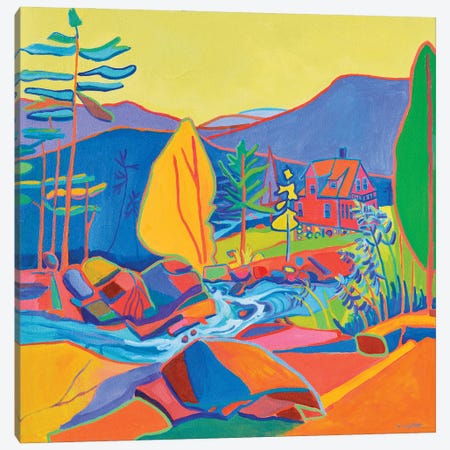Wildcat River House Canvas Print #DRB59} by Debra Bretton Robinson Canvas Art