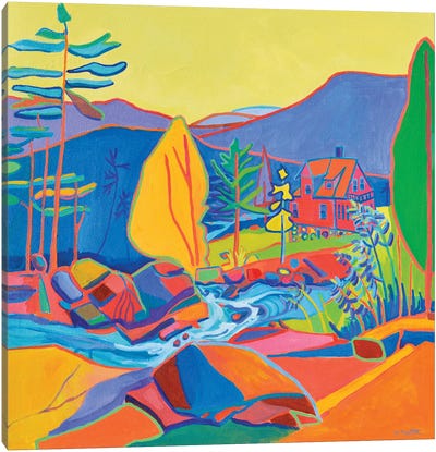 Wildcat River House Canvas Art Print - Debra Bretton Robinson