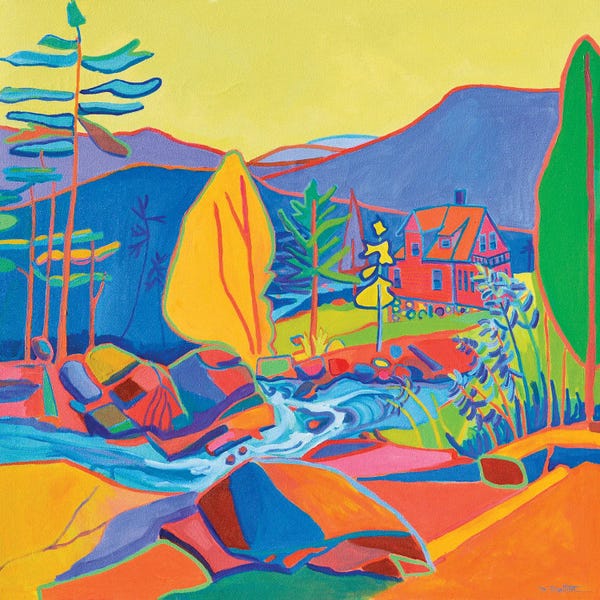 Homage To The Fauves: Wildcat River House by Debra Bretton Robinson