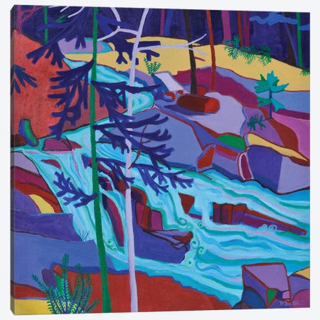 Wildcat River Waterfall Canvas Print #DRB62} by Debra Bretton Robinson Canvas Print