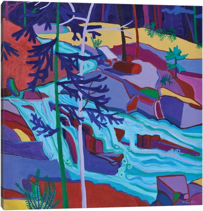 Wildcat River Waterfall Canvas Art Print - Debra Bretton Robinson