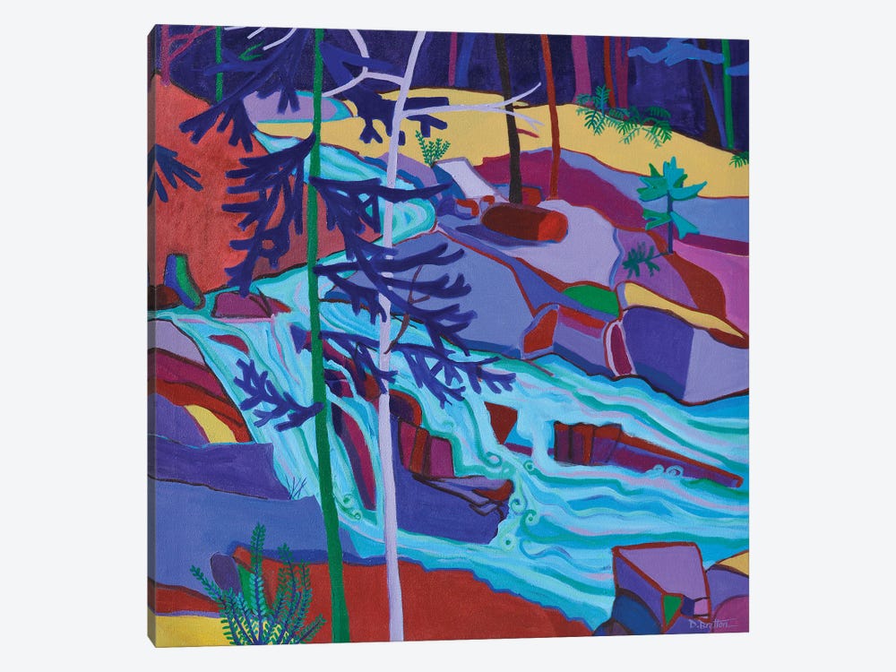Wildcat River Waterfall by Debra Bretton Robinson 1-piece Canvas Artwork