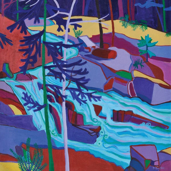 Artists Like Matisse: Wildcat River Waterfall by Debra Bretton Robinson