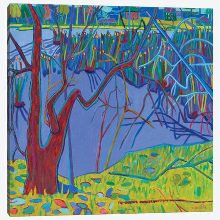 Freeman Lake Marsh Canvas Print #DRB63} by Debra Bretton Robinson Canvas Print