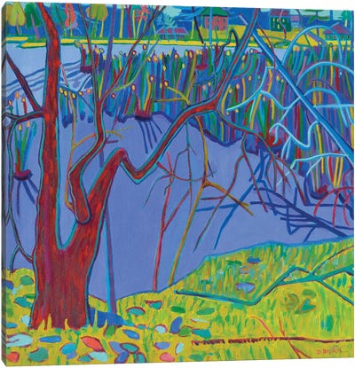 Freeman Lake Marsh Canvas Art Print - Marsh & Swamp Art
