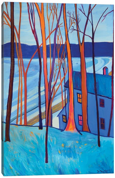 Frozen On Freeman Lake Canvas Art Print - Debra Bretton Robinson