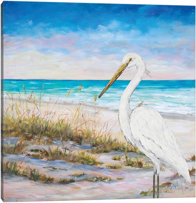 Egret On The Beach Canvas Art Print - Egret Art