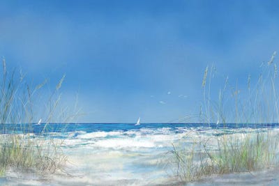 Grassy Seascape by Julie Derice art print