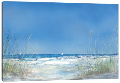 Grassy Seascape Canvas Art Print - Julie Derice