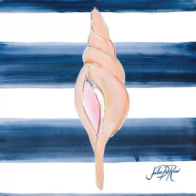 Nautical Shell IV by Julie Derice canvas print