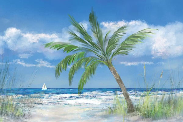 Tropical Beaches: Palm Tree Paradise by Julie Derice