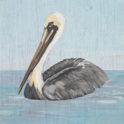 Pelican Wash I by Julie Derice art print