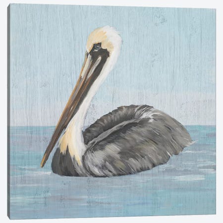 Pelican Wash I Canvas Print #DRC145} by Julie Derice Art Print