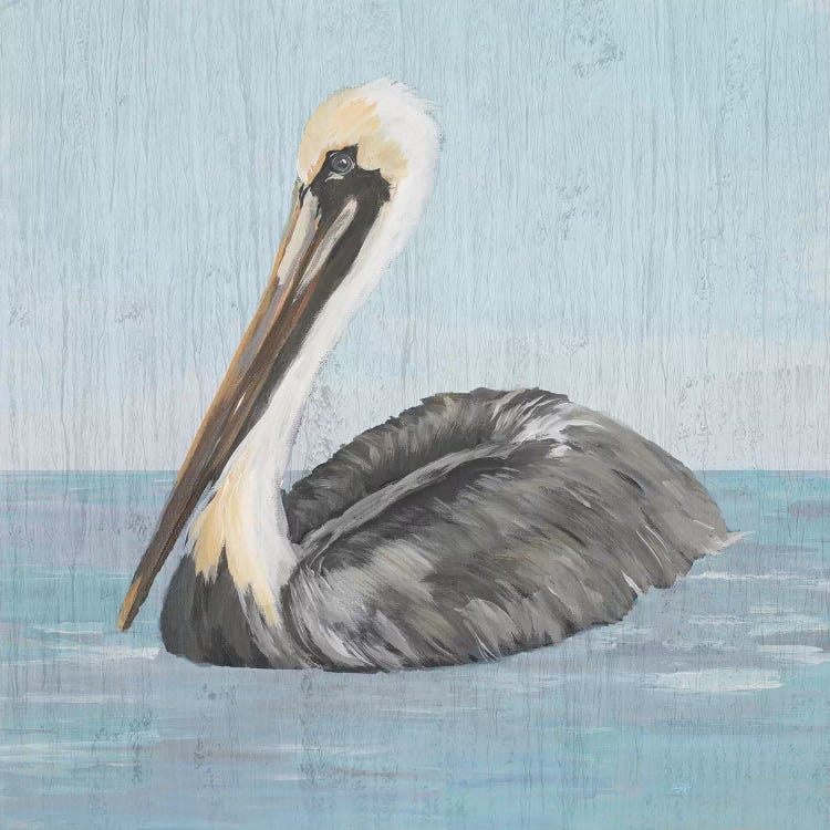 Pelican Wash I by Julie Derice wall art