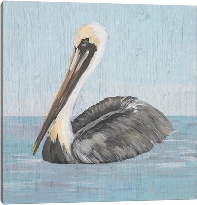 Pelican Wash I Canvas Art Print - Pelican Art