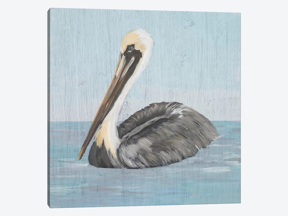 Pelican Wash I by Julie Derice 1-piece Canvas Artwork