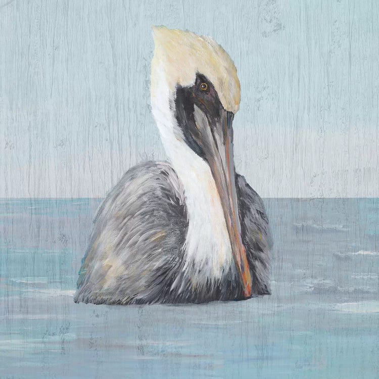 Pelican Wash II