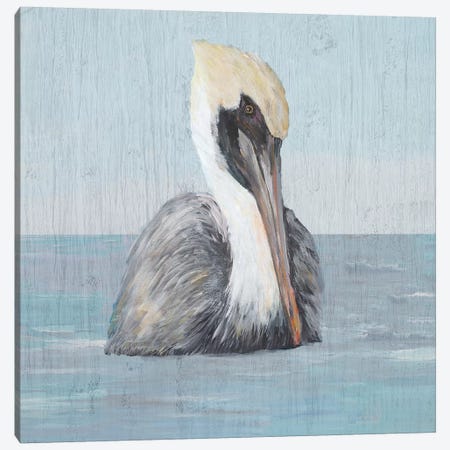 Pelican Wash II Canvas Print #DRC146} by Julie Derice Art Print
