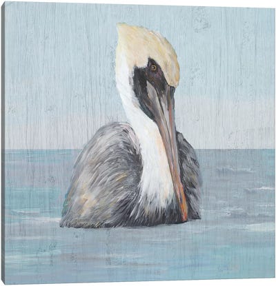 Pelican Wash II Canvas Art Print - Julie Derice