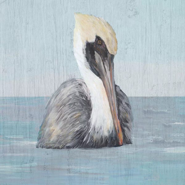 Nautical Décor: Pelican Wash II by Julie Derice