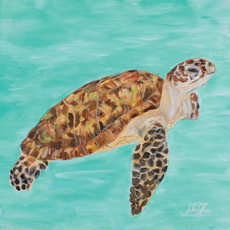 Sea Turtle I