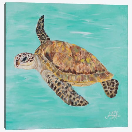 Sea Turtle II Canvas Print #DRC153} by Julie Derice Canvas Print