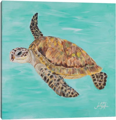 Sea Turtle II Canvas Art Print - Julie Derice