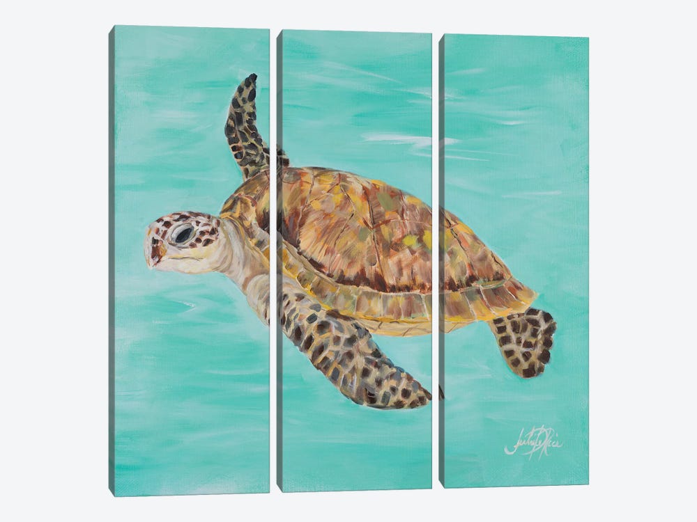 Sea Turtle II by Julie Derice 3-piece Art Print