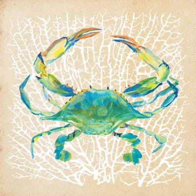 Sealife Crab by Julie Derice metal wall art