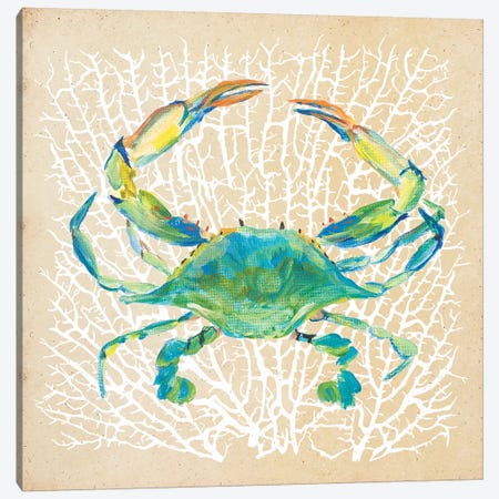 Sealife Crab Canvas Print #DRC154} by Julie Derice Canvas Art